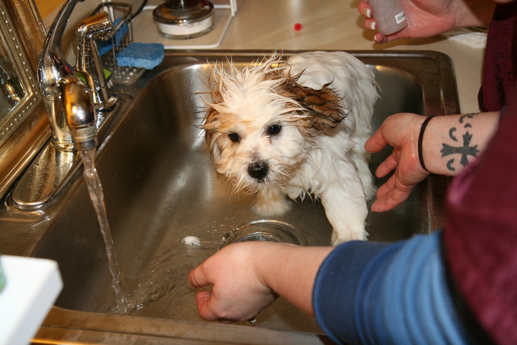 lavage coton tuléar